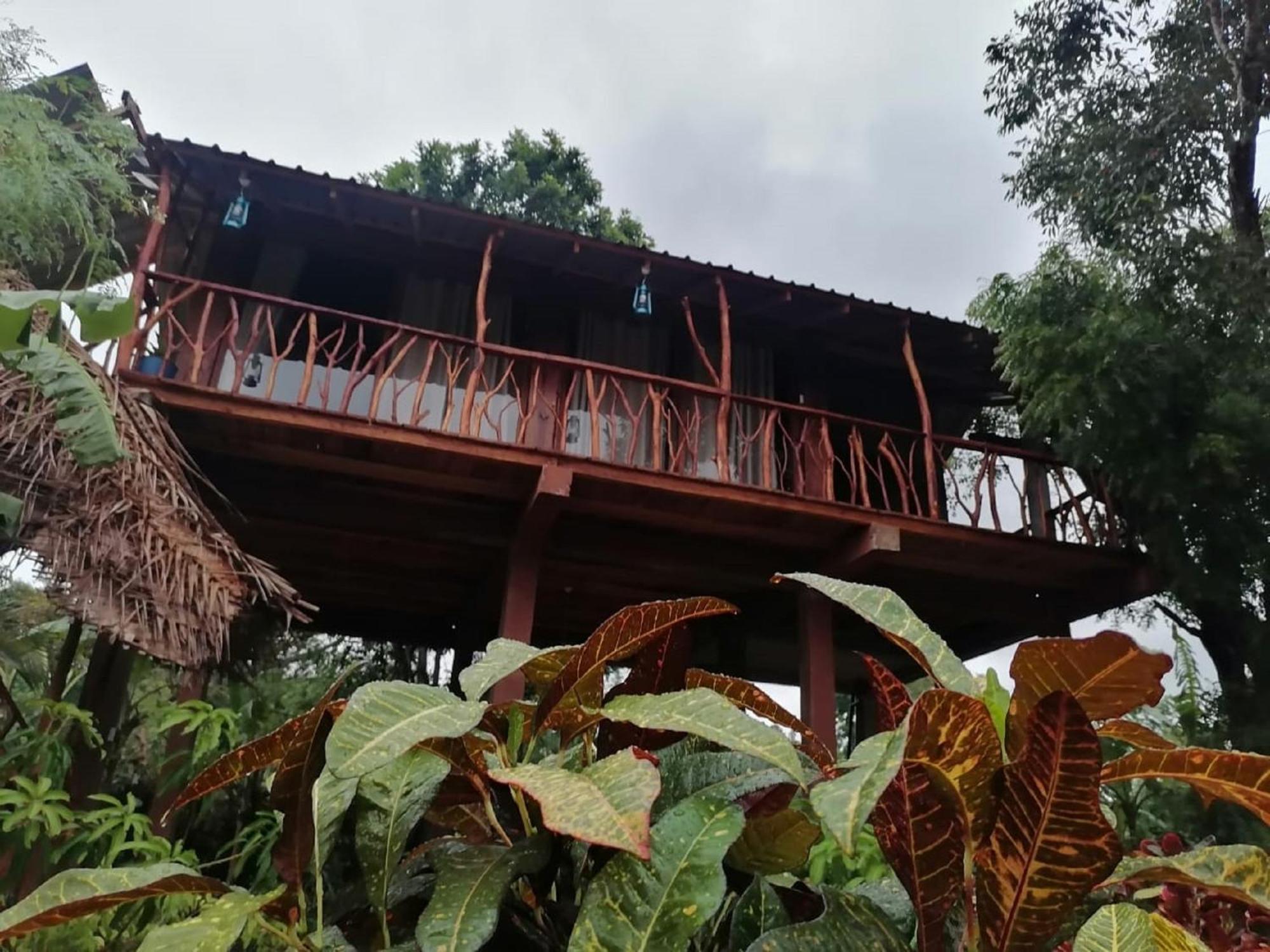 Sigiriya Rock View Tree House Villa Kültér fotó