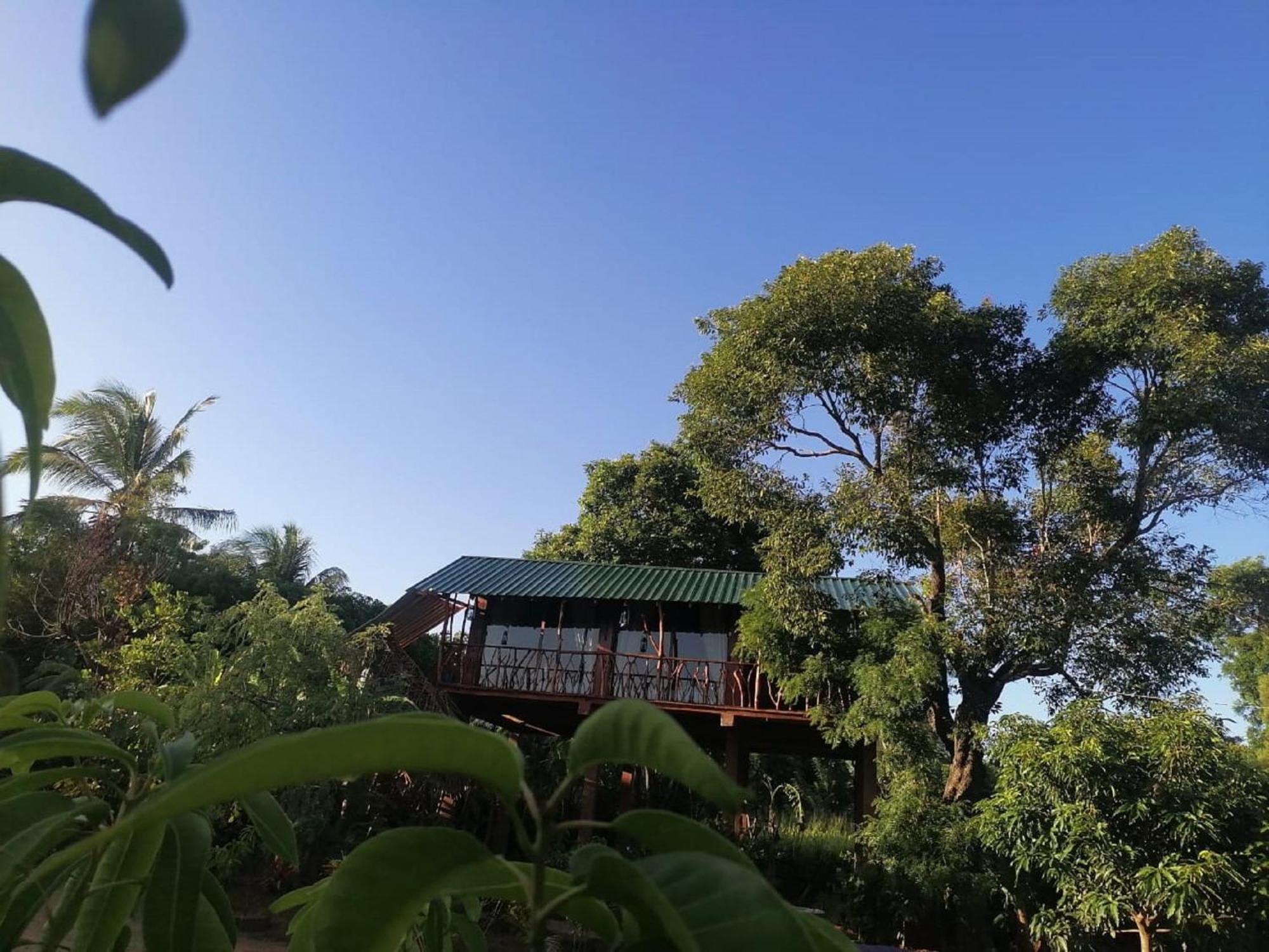 Sigiriya Rock View Tree House Villa Kültér fotó