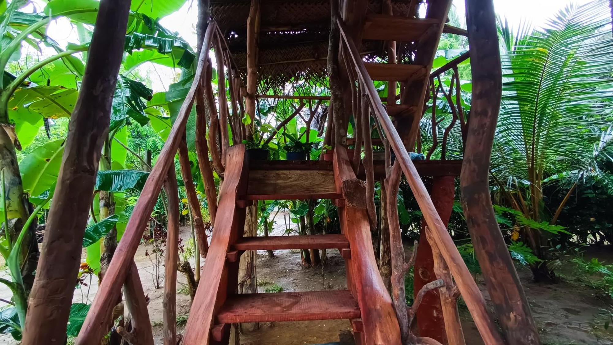 Sigiriya Rock View Tree House Villa Kültér fotó