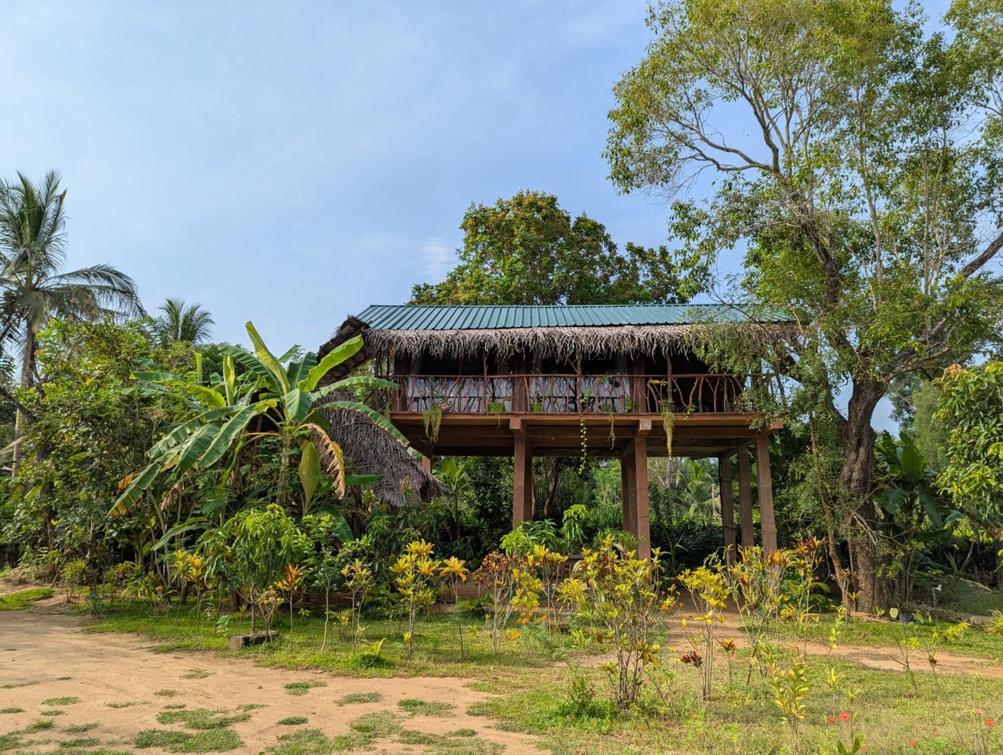 Sigiriya Rock View Tree House Villa Kültér fotó