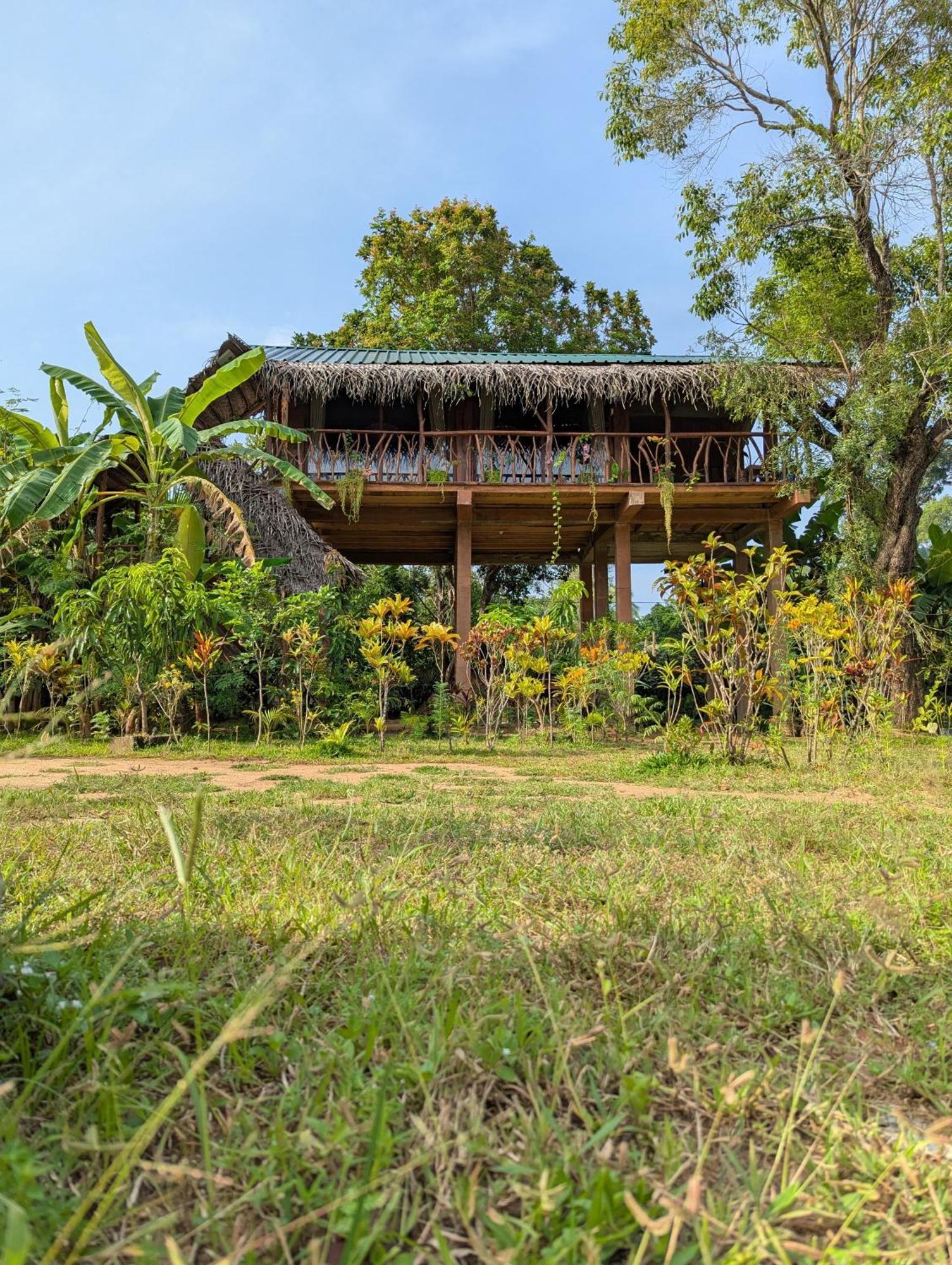 Sigiriya Rock View Tree House Villa Kültér fotó